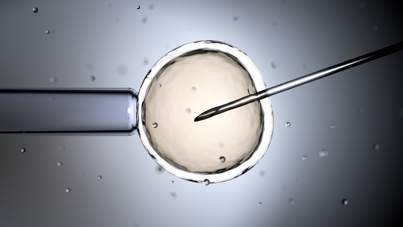 Frozen in Time: Donor Embryos
