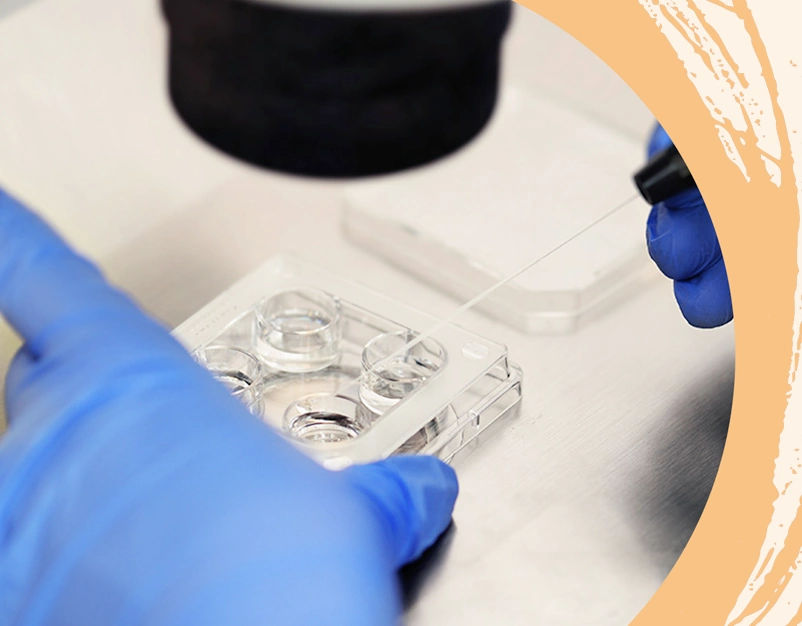 More Treatment Options